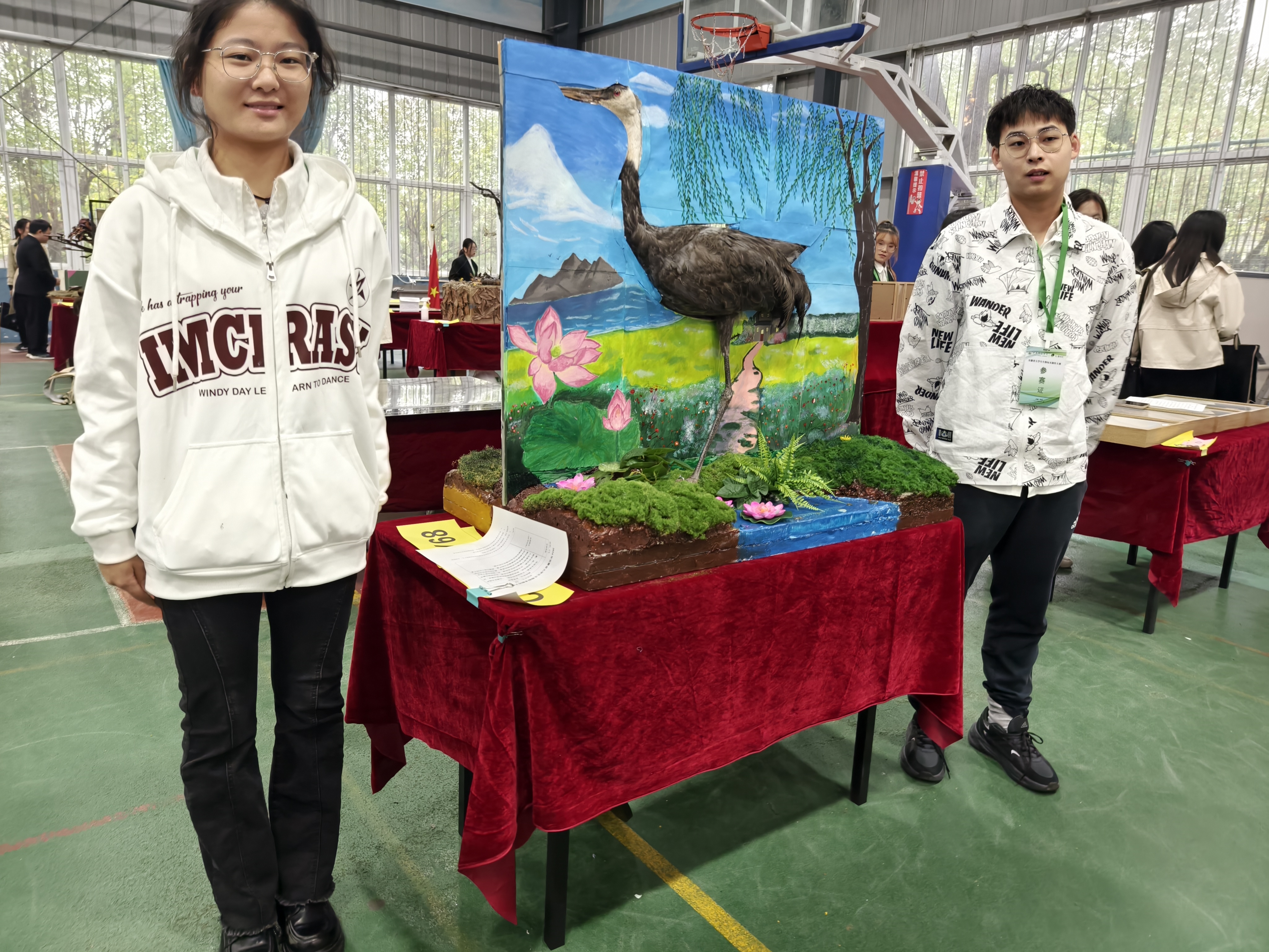 我院师生在2024年安徽省大学生物生物标本制作大赛中荣获佳绩
